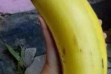 大香蕉国产情侣,甜蜜瞬间，浪漫时光