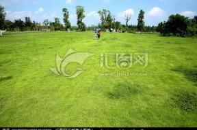 青青青草国产免费观看